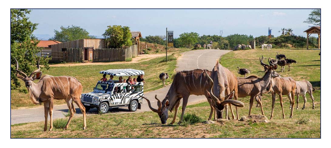 safari peaugres circuit voiture